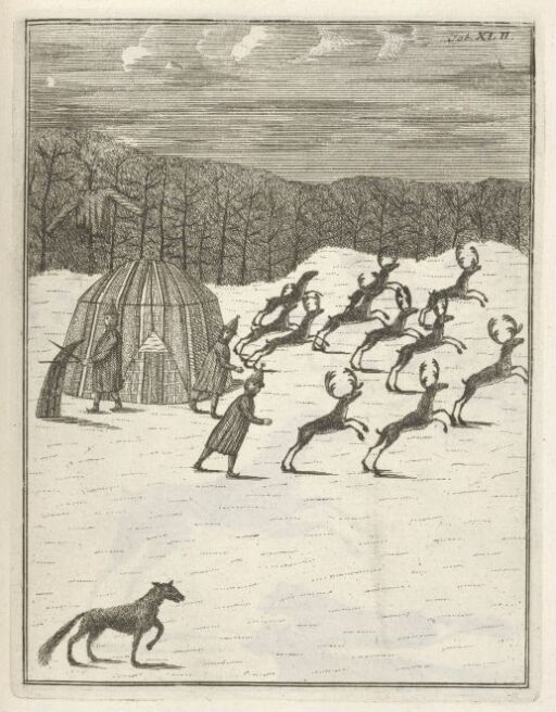 Prevention Measures Against Wolf Attack