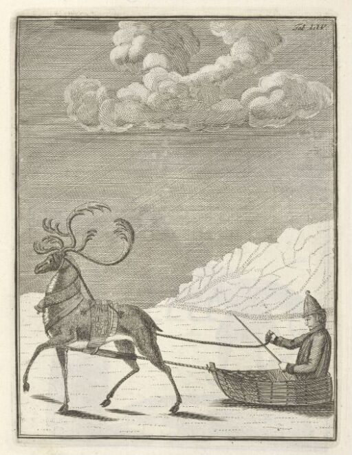 Reindeer Driving