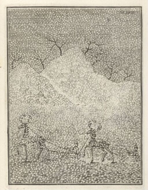 Sledge Driving in Drifting Snow