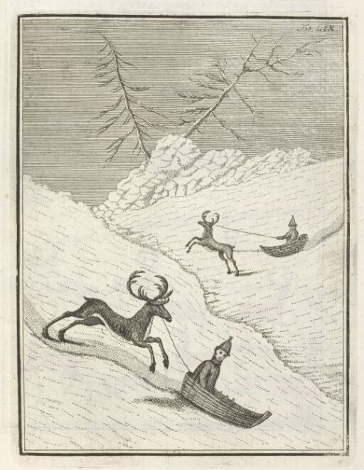 Downhill Sledge Driving