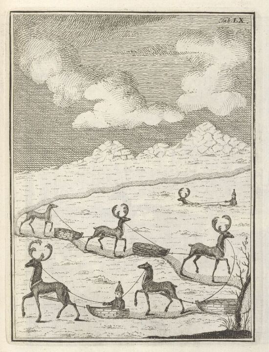 Reindeer Driving in Line