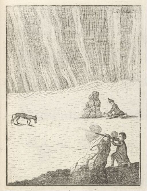 Fox Hunting with Bait