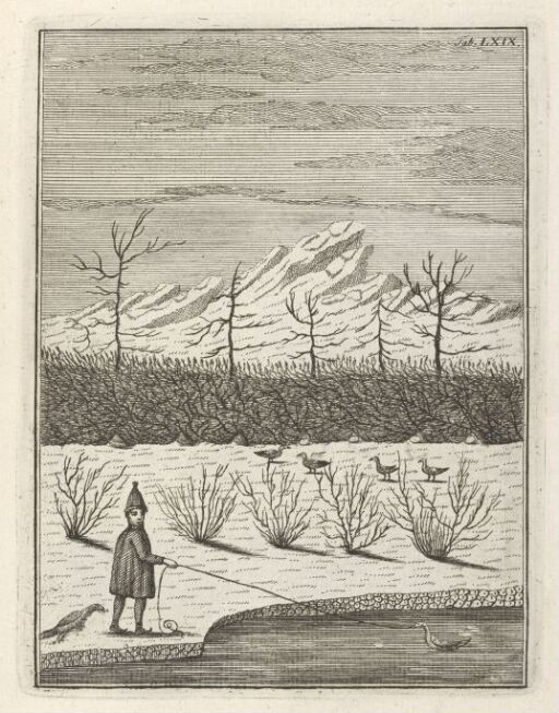 Catching Grouse and Seagulls