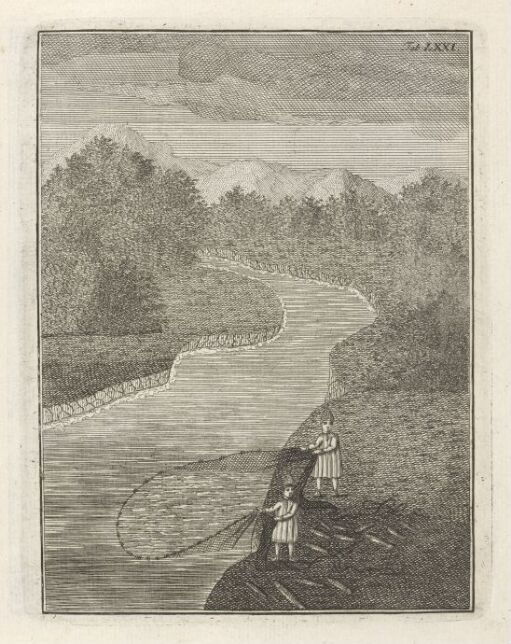 Salmon Fishing with Net