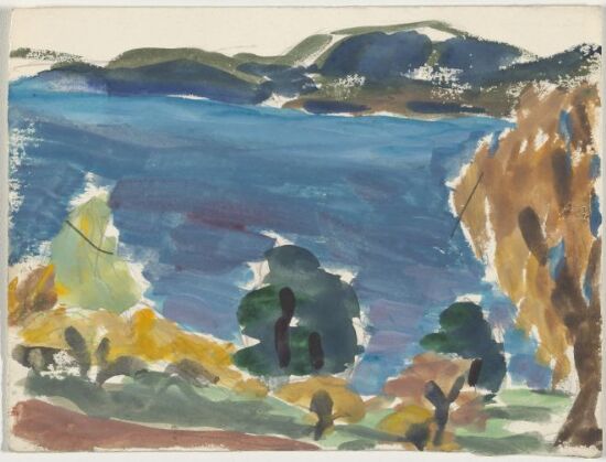 Fjordlandskap