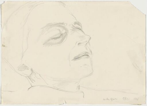 Study of a dying woman