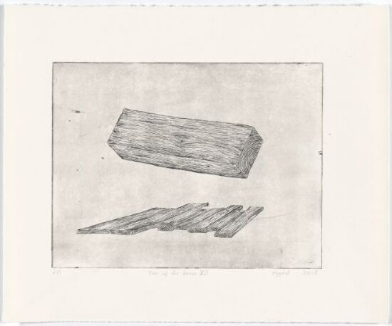 The Year of the House VIII