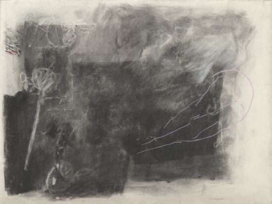 Vårlandskap med hvite tulipaner