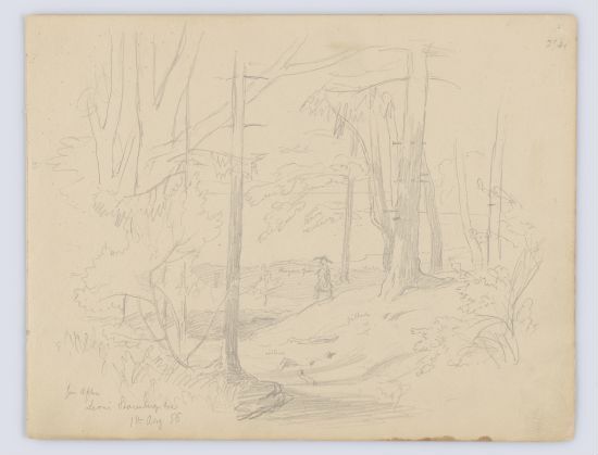 Man in Forest, Starnberger See