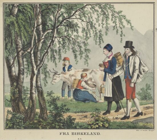 Fra Birkeland. Norske nasjonaldrakter