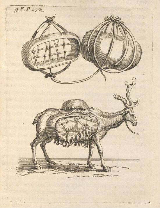 Reinsdyr med oppakning