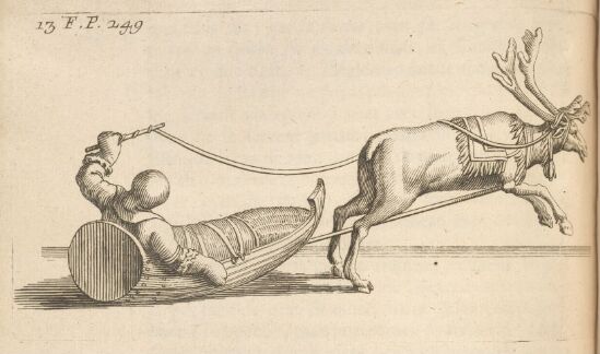 Reindeer pulling a Sled