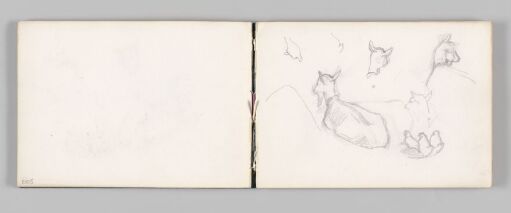 Study of a Goat Lying Down