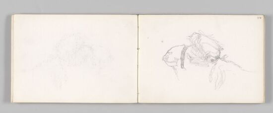 Detaljstudie av en kamel