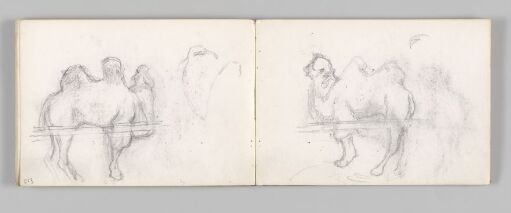 Study of a Camel