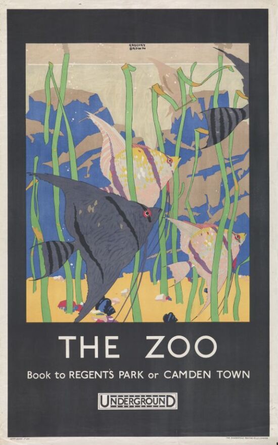 The Zoo