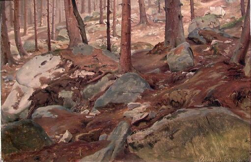 Study of a Forest Floor