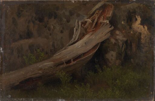 Study of a decaying Trunk