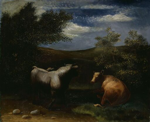 Ox and Cow