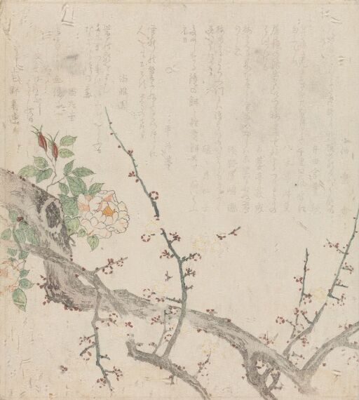 Roses and Plum Blossoms