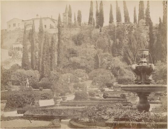 Verona
