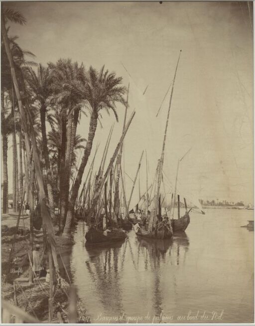 Barques et groupe de palmiers au bord du Nil