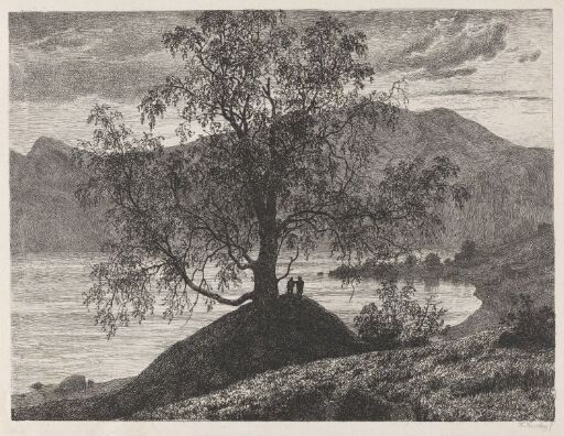 The Old Birch Tree at Slinde, Sognefjord