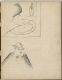 Studies of a Man, a Cat and a Woman with a Serpent