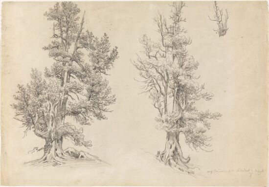 Trestudier, Kleine Scheidegg