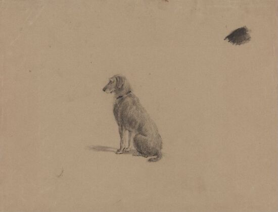Sittende hund