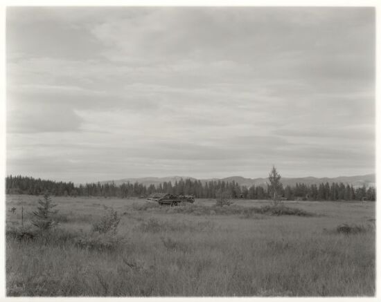 Myr, Eggedal, 1977