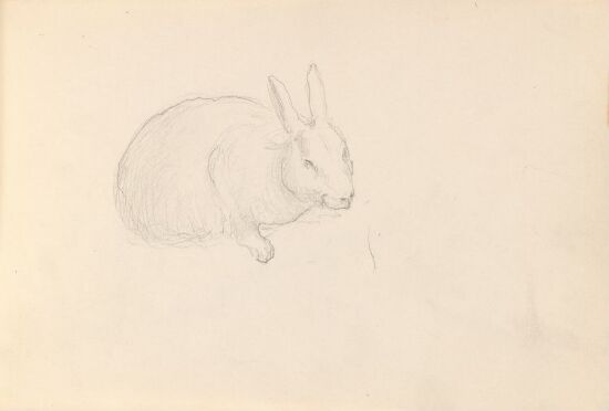 Hare