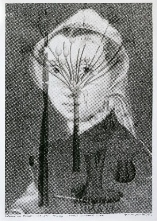 Caterina van Hemessen (1528–ca. 1587) Butonus Umbellatus, Rare