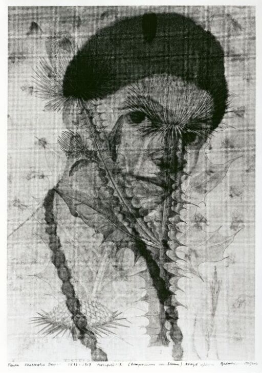 Paula Modersohn Becker (1876–1907) Hvalørtistel, Onopordium acanticum, meget sjelden
