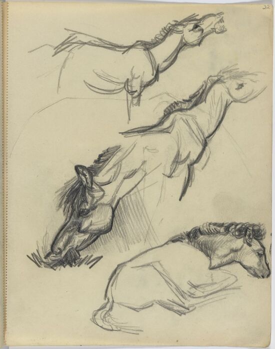 Studie av hest
