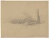 Study of Tree Trunk and Branches