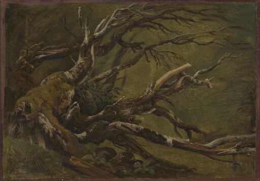 Study of decaying Tree