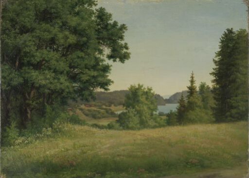 Landscape near the Lake Borrevannet