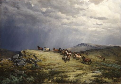 Horses in the Mountains