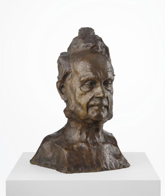Professor Sophus Bugge