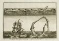 The Great Sea Serpent
