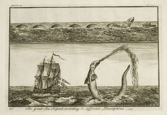 The Great Sea Serpent