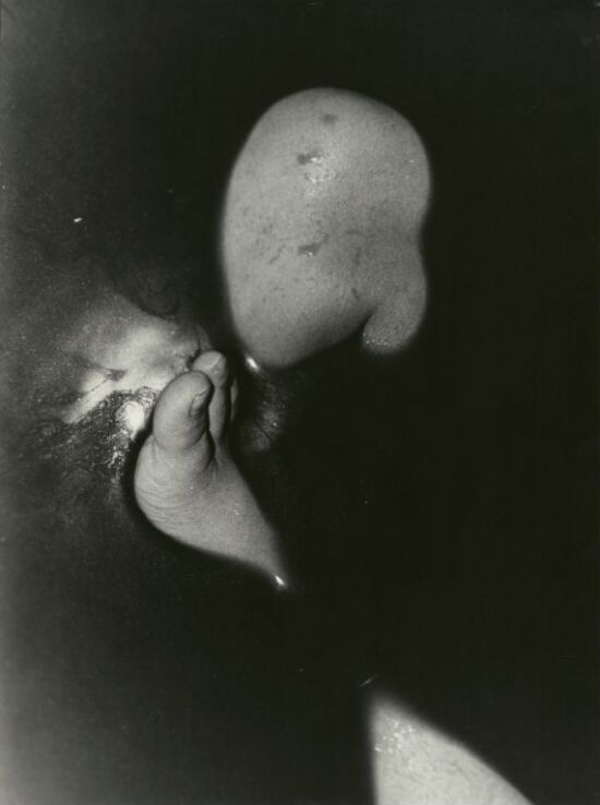 Bodies in black water 10