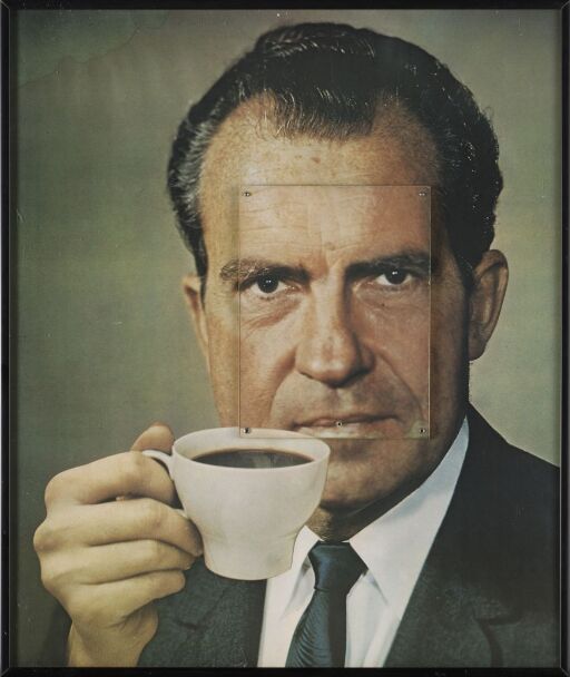 Nixon Visions