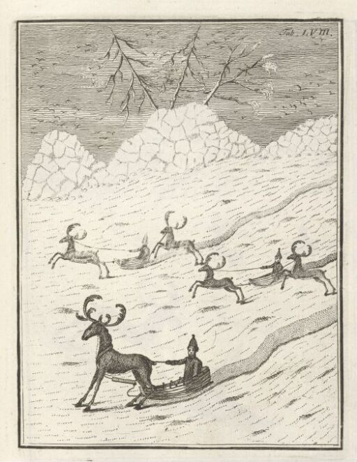 Downhill Sledge Driving with Reindeer