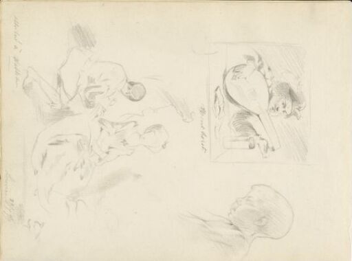 Studies from The Louvre